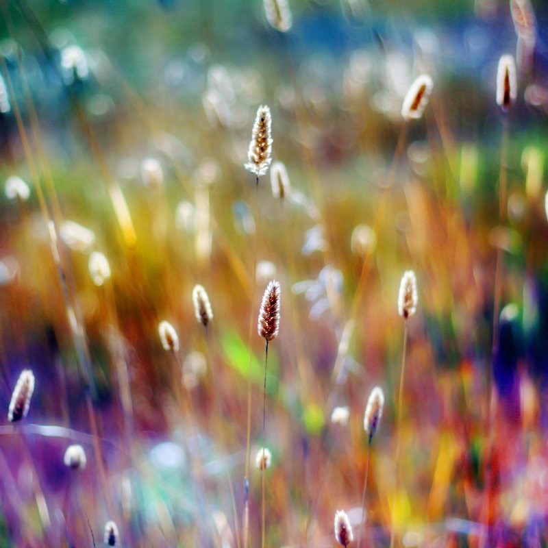 25张缤纷的彩虹主题摄影作品