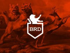 品牌设计欣赏：BR-Design
