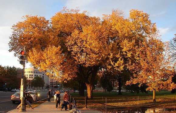 风光摄影：秋高气爽的季节