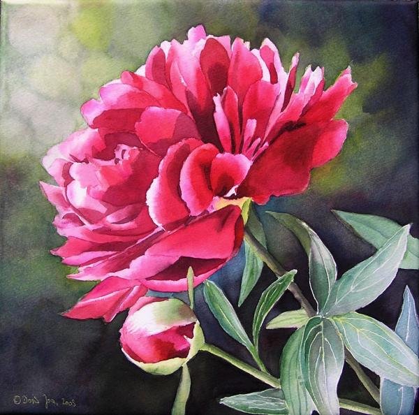 美丽的玫瑰花：Doris Joa绘画欣赏