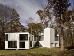 白色的几何形状与玻璃结合：Graticule林中别墅