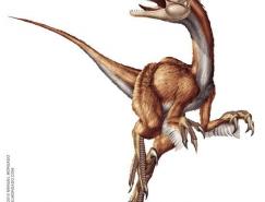 Manuel&nbsp;Morgado插画艺术