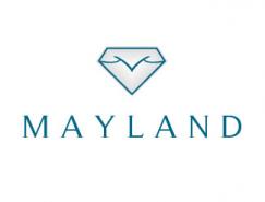 标志设计元素运用实例：钻石