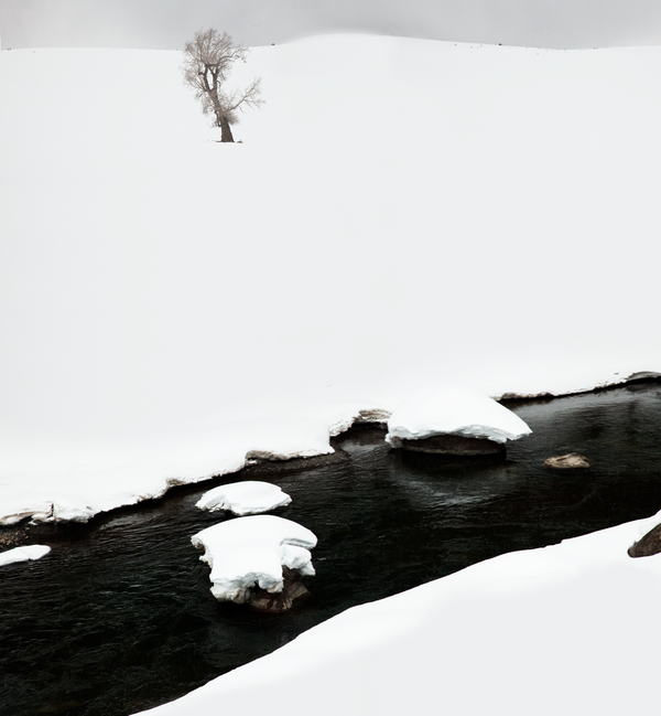 白色的地平线：Michael Zimmerer唯美雪景摄影