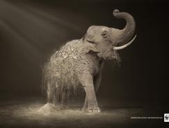 WWF公益廣告：荒漠化每年導致6000物種滅亡