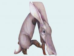 Casey&nbsp;Girard的动物字母插画