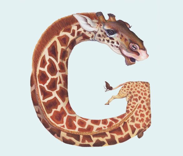 Casey Girard的动物字母插画