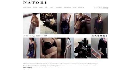 50个漂亮的内衣商店网站设计
