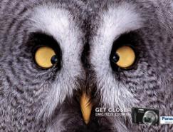 平面广告欣赏之可爱的动物