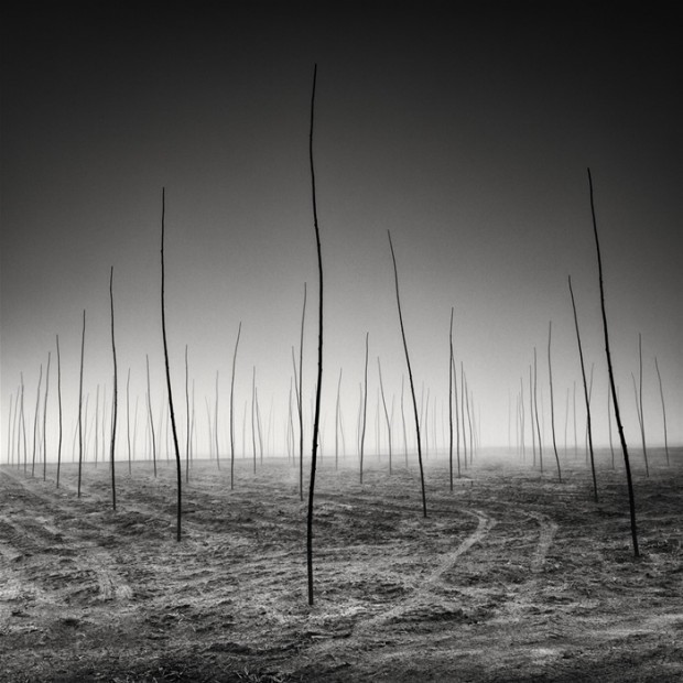 Pierre Pellegrini静谧的黑白风光摄影
