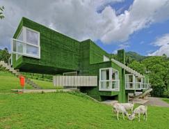 奥地利Frohnleiten人造草皮覆盖的住宅设计