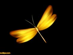 Photoshop打造一只漂亮的金色蜻蜓