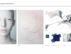 Adobe&nbsp;CS&nbsp;6&nbsp;形象和包装设计