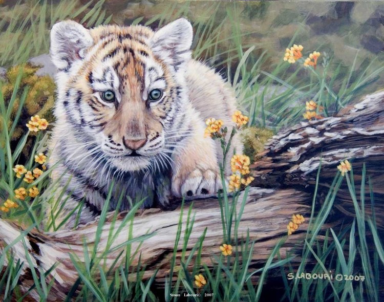Susan Labouri动物绘画作品欣赏