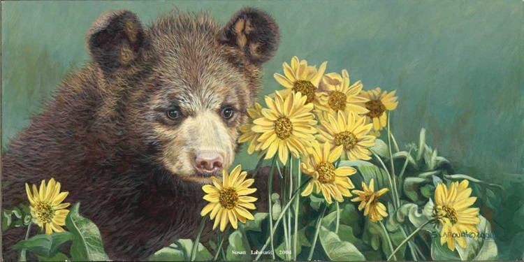 Susan Labouri动物绘画作品欣赏