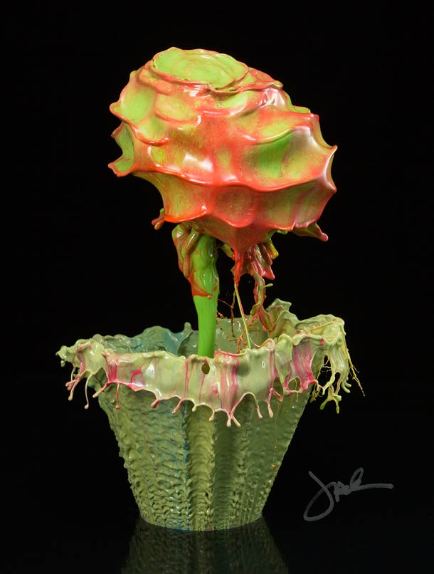 Jack Long摄影作品：盛开的颜料花朵