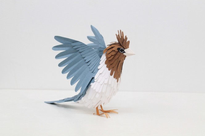 美丽的纸鸟：Diana Beltran Herrera纸雕艺术