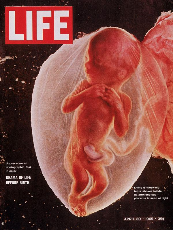 《生活杂志》(Life magazine)封面设计欣赏