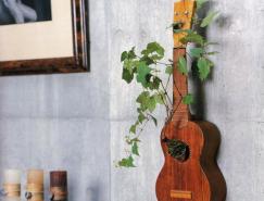 室内设计元素：盆景