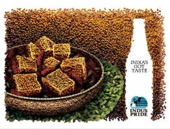 印度啤酒品牌IndusPride廣告欣賞