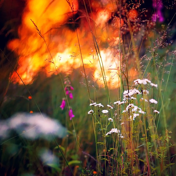Pawel Matys美丽的自然摄影