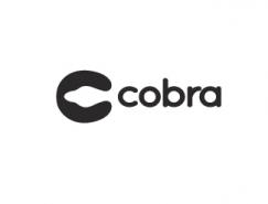 标志设计元素运用实例：蛇(二)