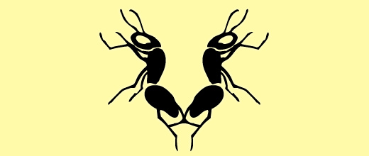 标志设计元素运用实例：蚂蚁