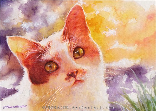 德国水彩画家Charlene Wienhold：可爱的猫