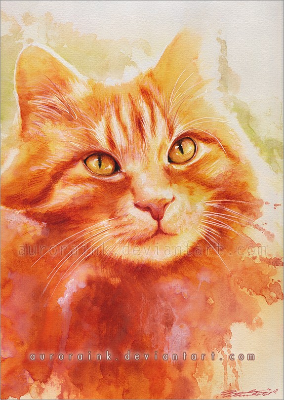 德国水彩画家Charlene Wienhold：可爱的猫