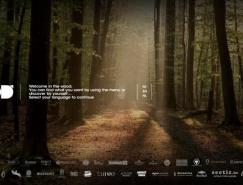 30个国外使用视频背景的网站设计