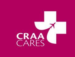 标志设计元素运用实例：飞机