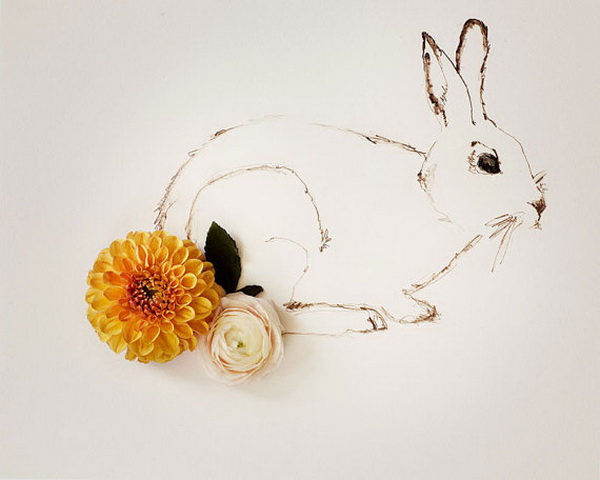 Kari Herer:花卉与插画的创意结合