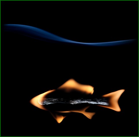 燃烧的火柴：Stanislav Aristov创意摄影作品