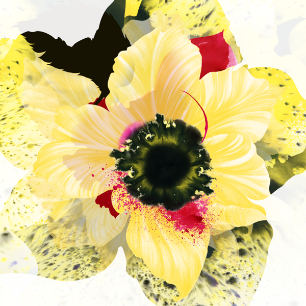 绚丽的花朵：Kahori Maki插画欣赏