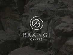 25款国外优秀标志设计(2013.1月号)