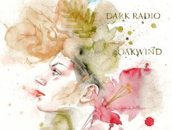 Ricardo Drumond插画作品欣赏