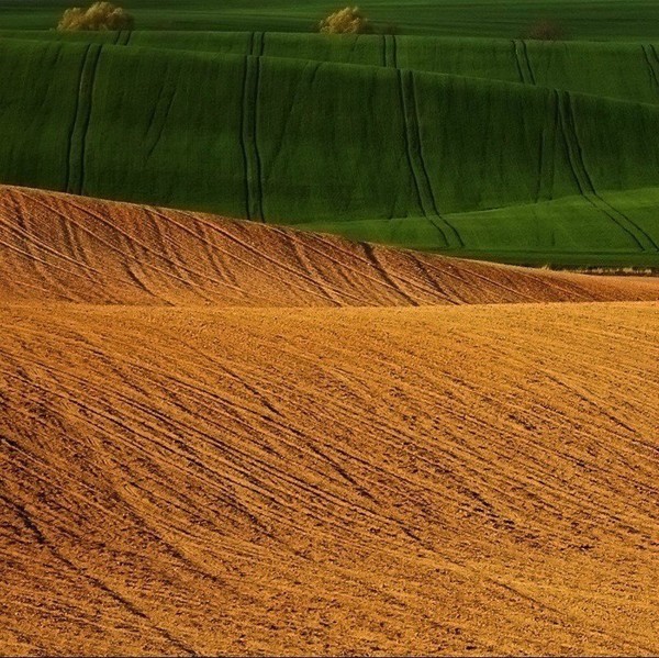 波兰摄影师Marek Kiedrowski和Krzysztof Browko：绝美的绿色风光摄影