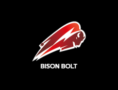 标志设计元素运用实例：野牛