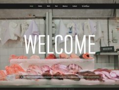 30个国外使用大背景图片的网站欣赏