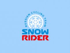 标志设计元素运用实例：雪花(二)