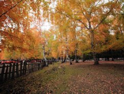 PS简单实用的风光调色教程