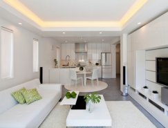 寻求平衡和宁静：东京现代禅风住宅设计