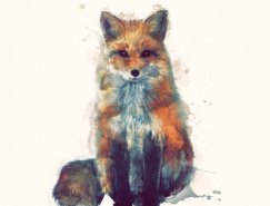 Amy Hamilton动物插画作品