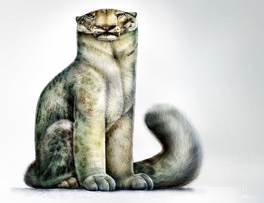 Jean Baptiste Vendamme可爱滑稽的动物插画作品