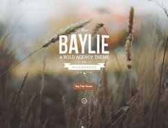 17个漂亮的视差滚动(Parallax Scrolling)效果网站设计