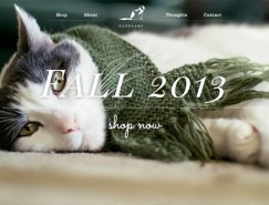 30个全屏图片背景网站欣赏