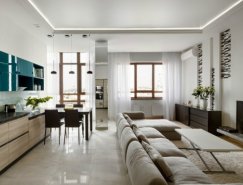 乌克兰Kharkov160平米简约风格公寓欣赏