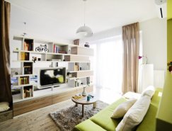 罗马尼亚40平米小公寓设计