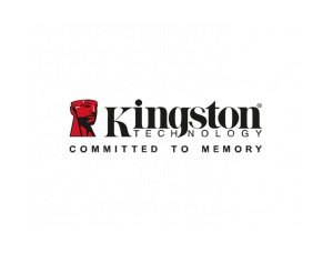 Kingston金士顿标志矢量图
