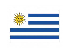 乌拉圭国旗矢量图